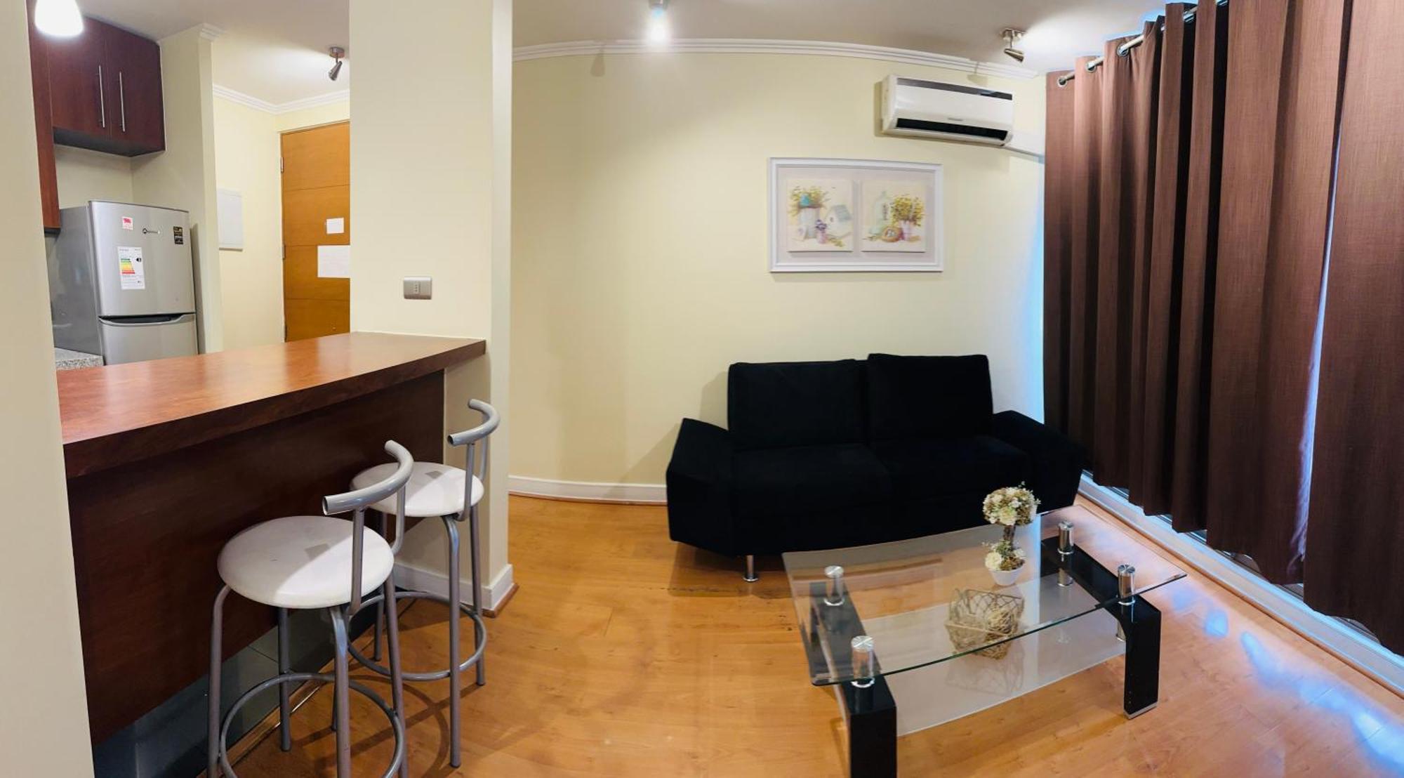Apartamento Sector Turistico Y Ejecutivo, Providencia Santiago